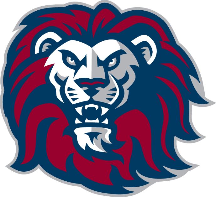 Loyola Marymount Lions 2001-Pres Alternate Logo v6 iron on transfers for T-shirts